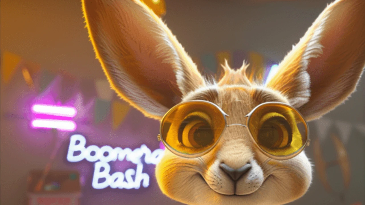 Kangaroo's Boomerang Bash